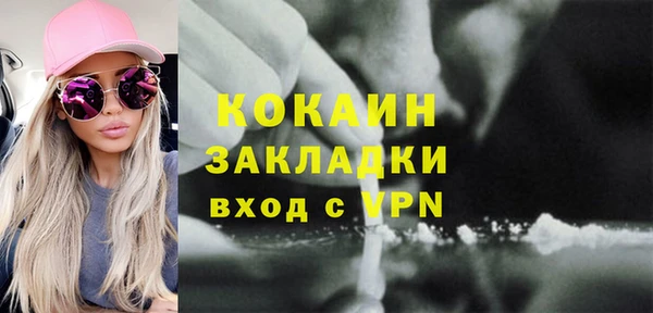 индика Алзамай