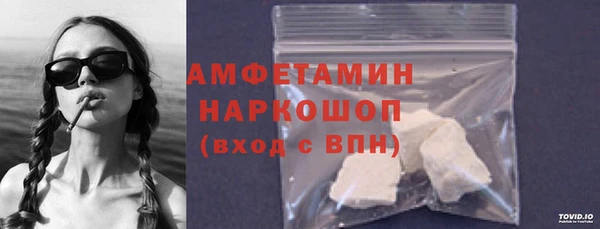 индика Алзамай